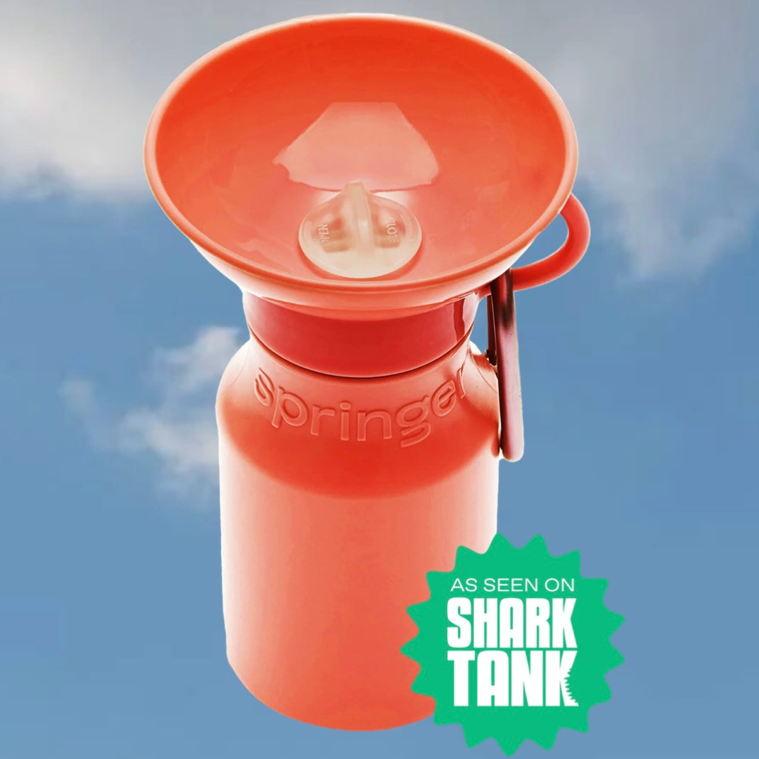 Mini Travel Water Bottle (15 oz)
