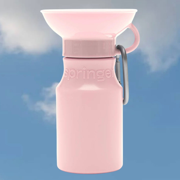 Mini Travel Water Bottle (15 oz)