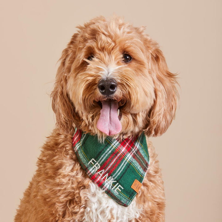 Holly Jolly Flannel Holiday Bandana