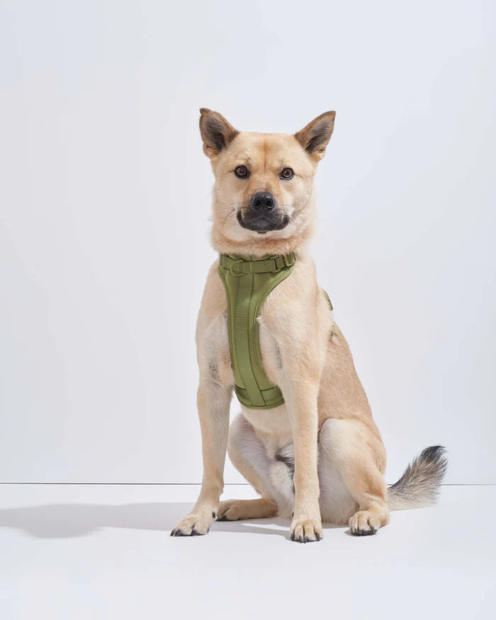 Adjustable Comfort Dog Harness