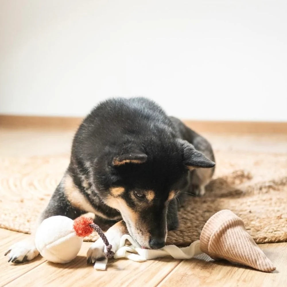 Ice Cream Pop - Enrichment Toy