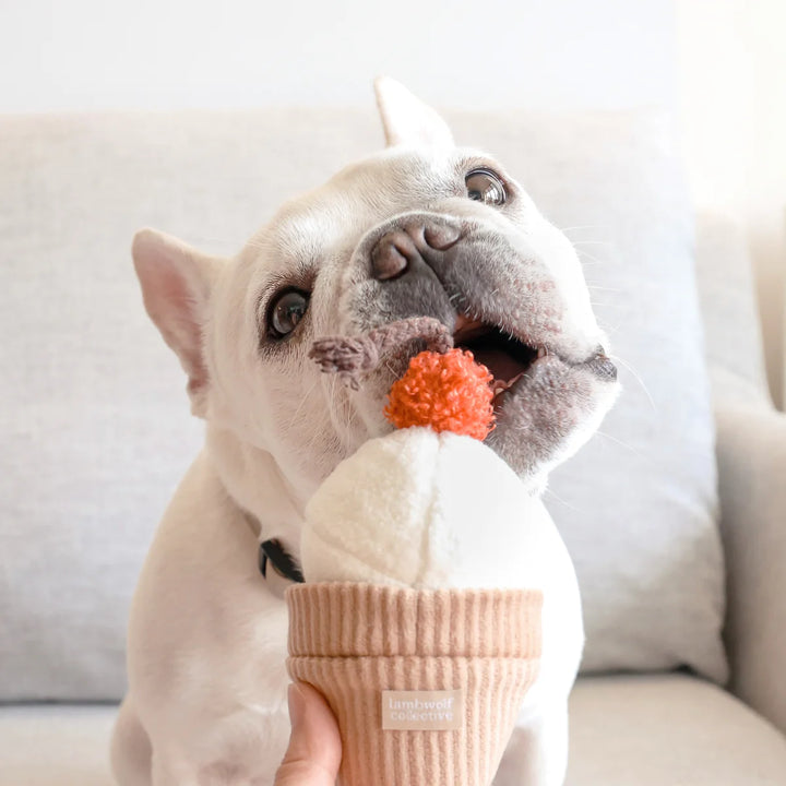 Ice Cream Pop - Enrichment Toy
