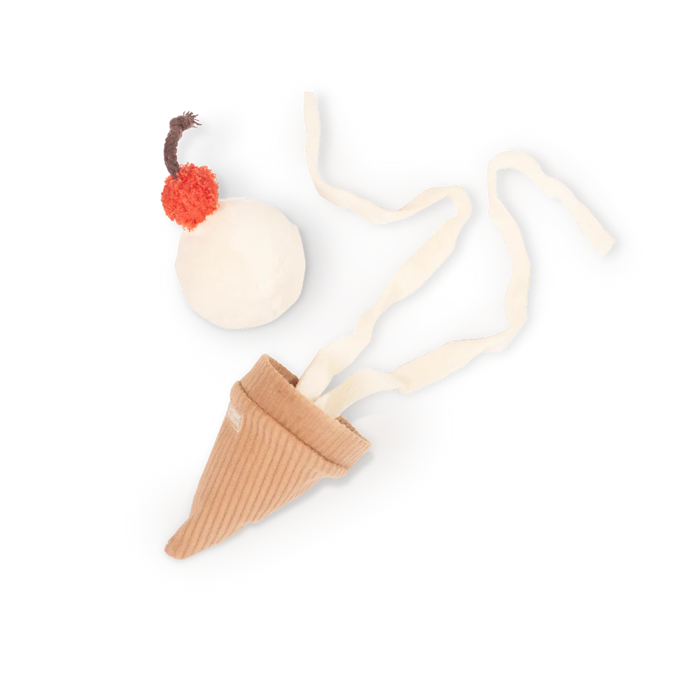 Ice Cream Pop - Enrichment Toy