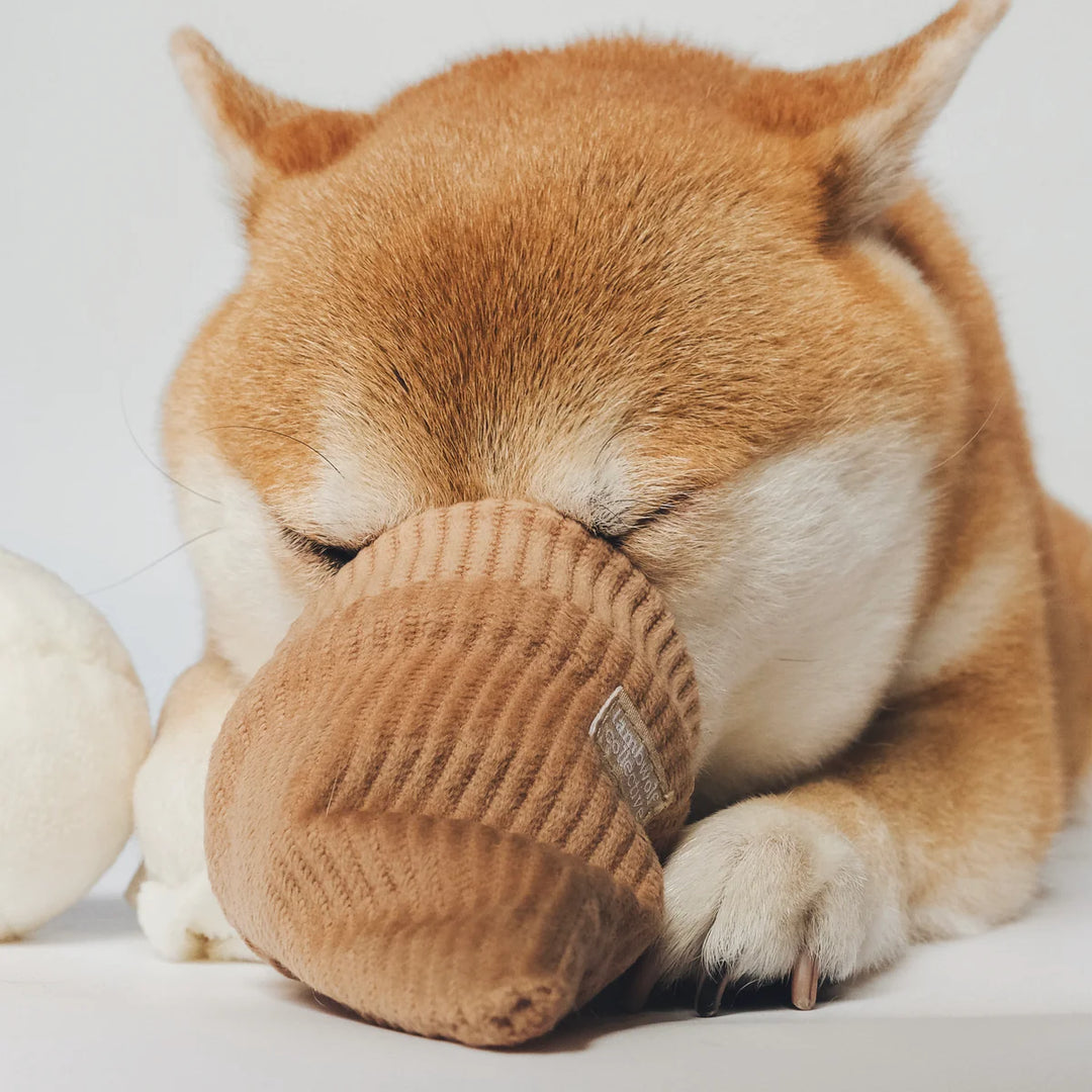 Ice Cream Pop - Enrichment Toy