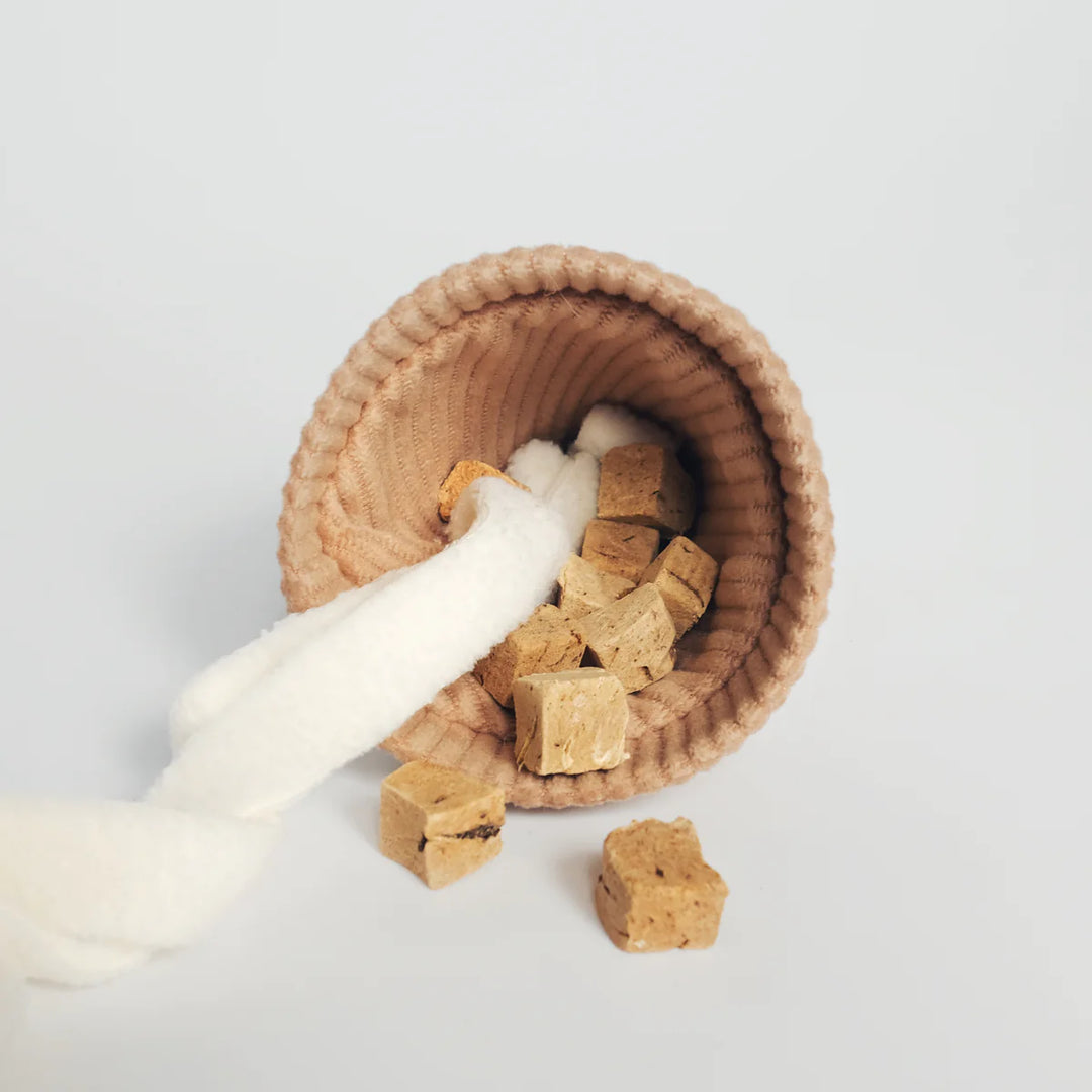 Ice Cream Pop - Enrichment Toy