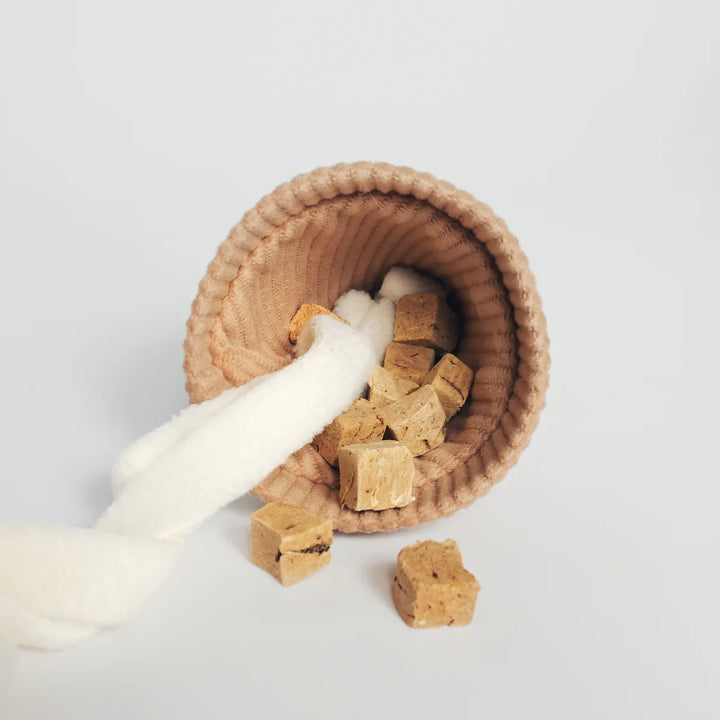 Ice Cream Pop - Enrichment Toy