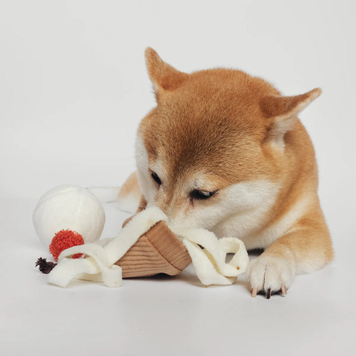 Ice Cream Pop - Enrichment Toy