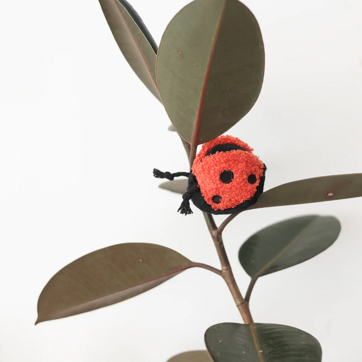 Ladybug Pop - Enrichment Toy
