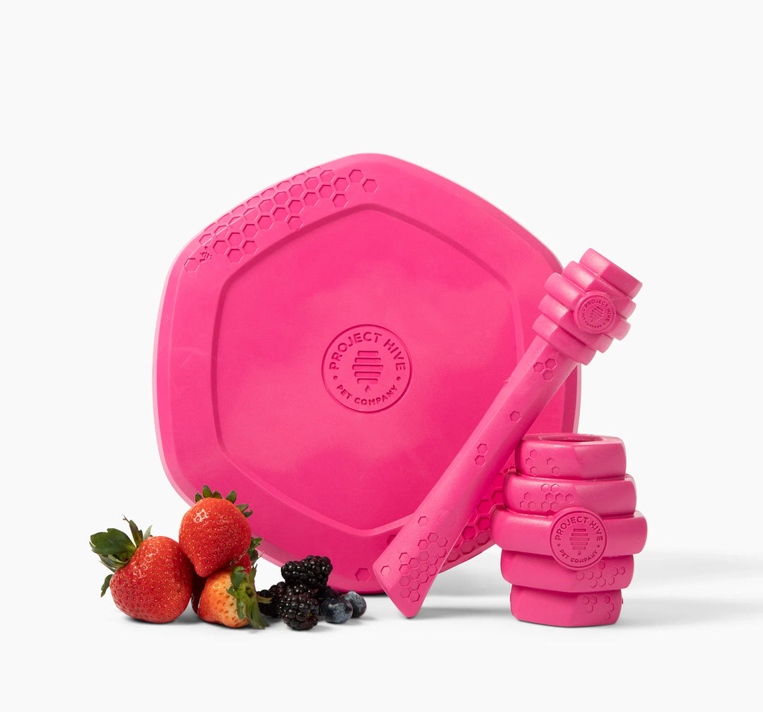 Hive Chew Toy