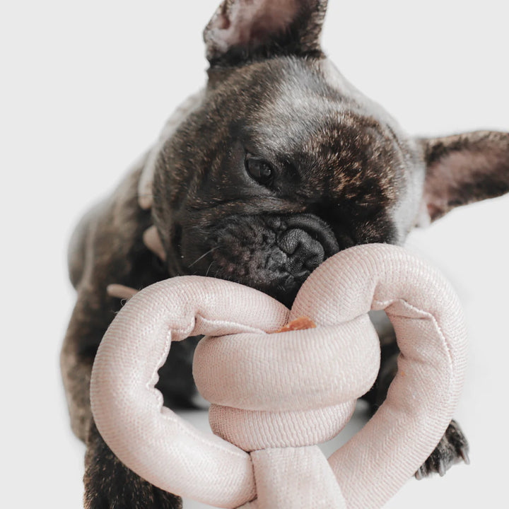 NOUNOU Small Knot - Enrichment Toy