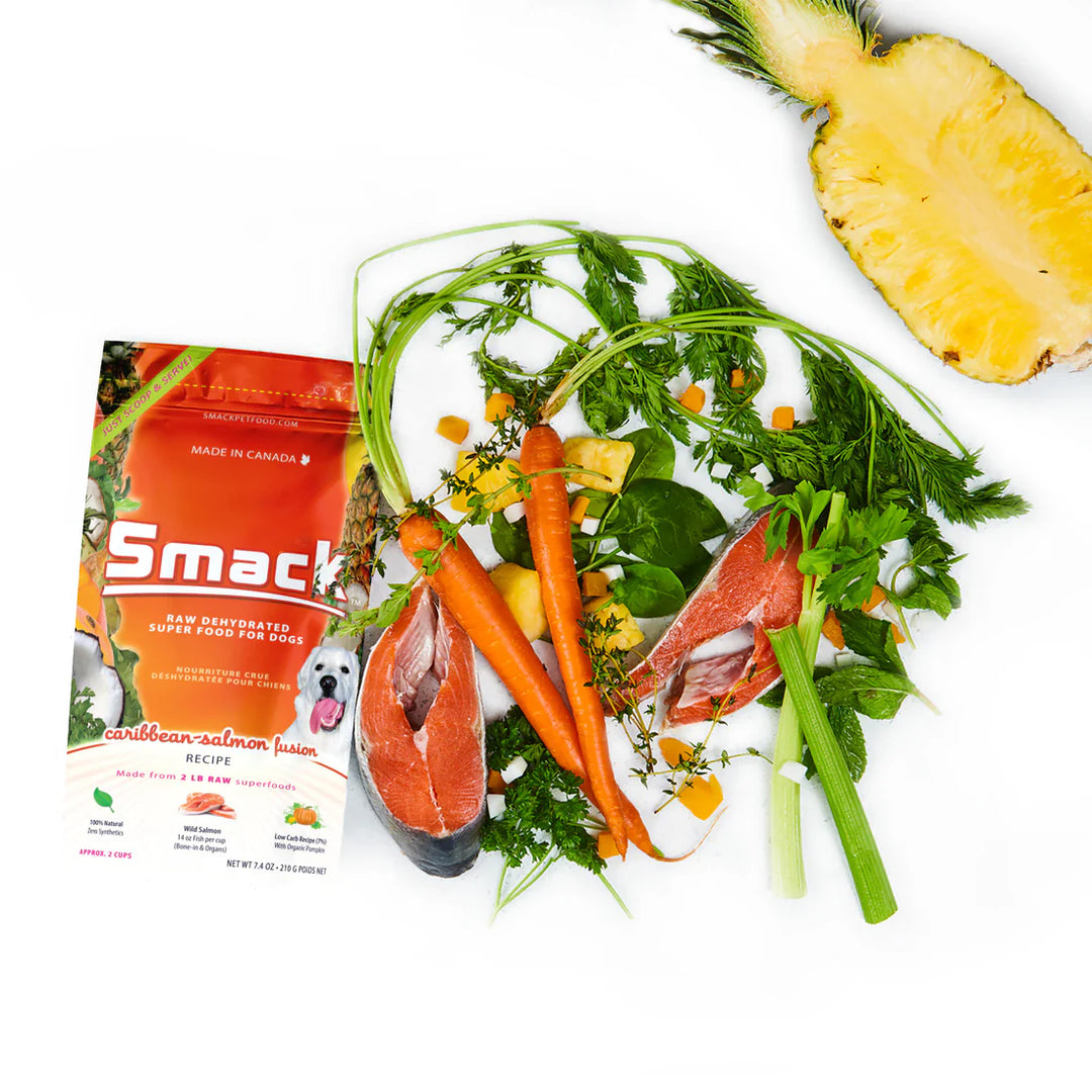 Caribbean-Salmon Fusion - Raw Dehydrated Superfood for Dogs