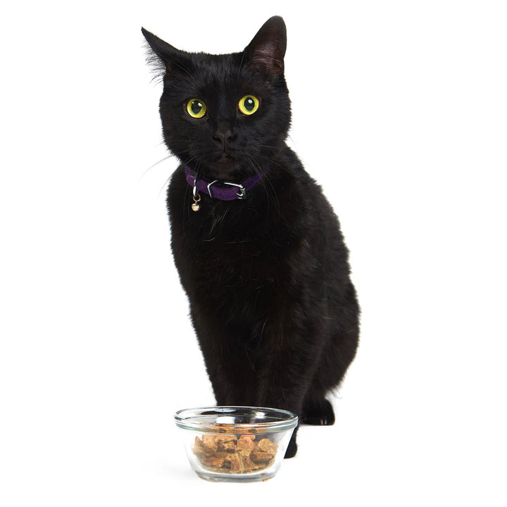 Very Berry Chicken - Raw Dehydrated Superfood for Cats
