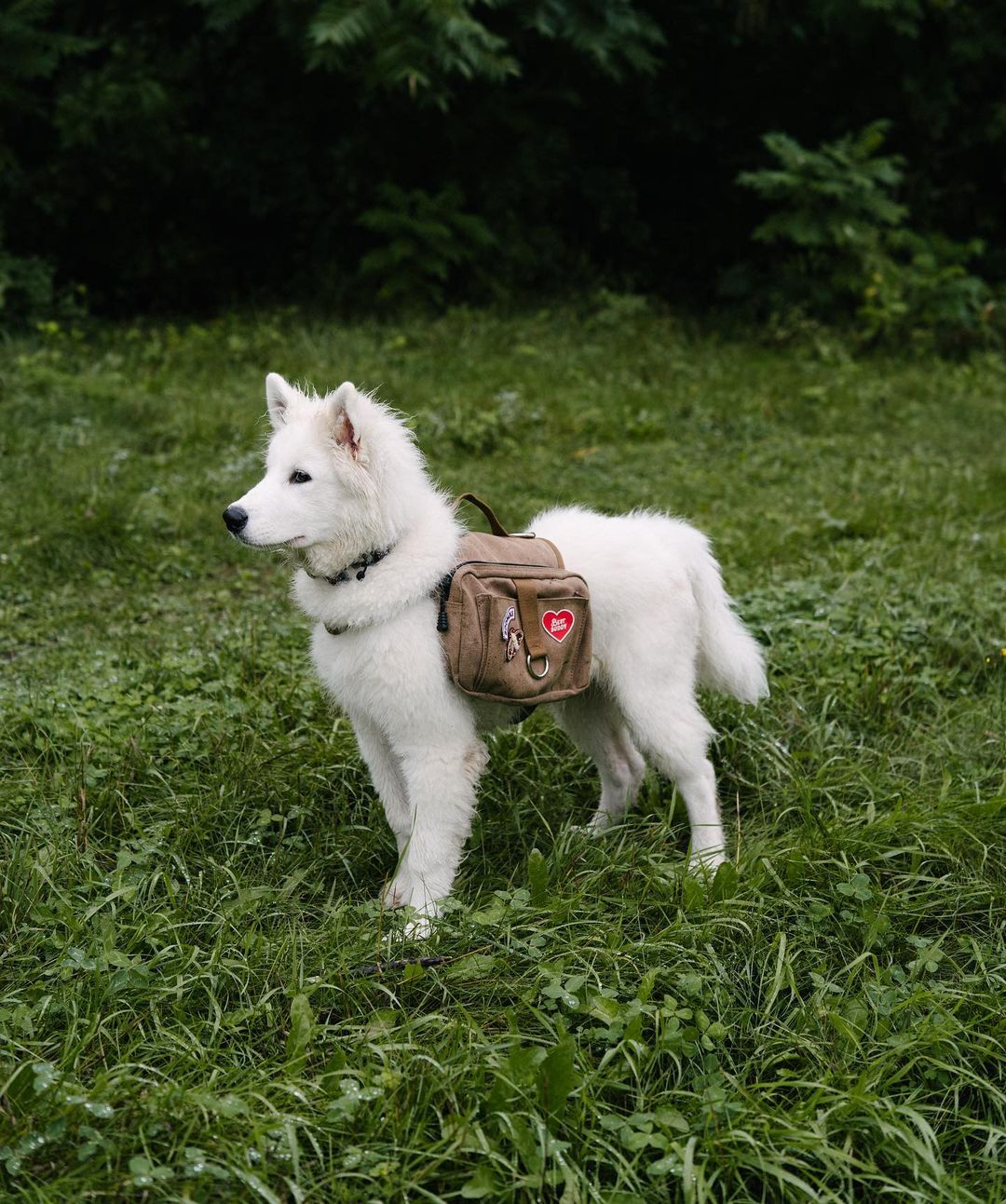 Iron-On Patch