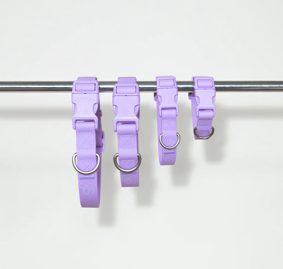 Springer Collar