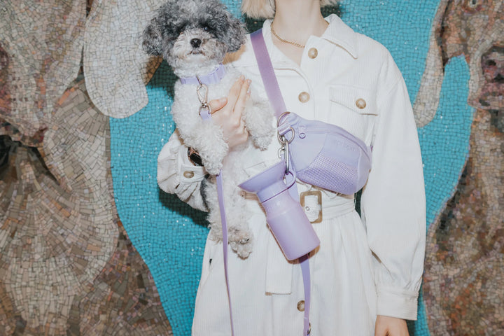 Sling Bag + Dog Leash Set