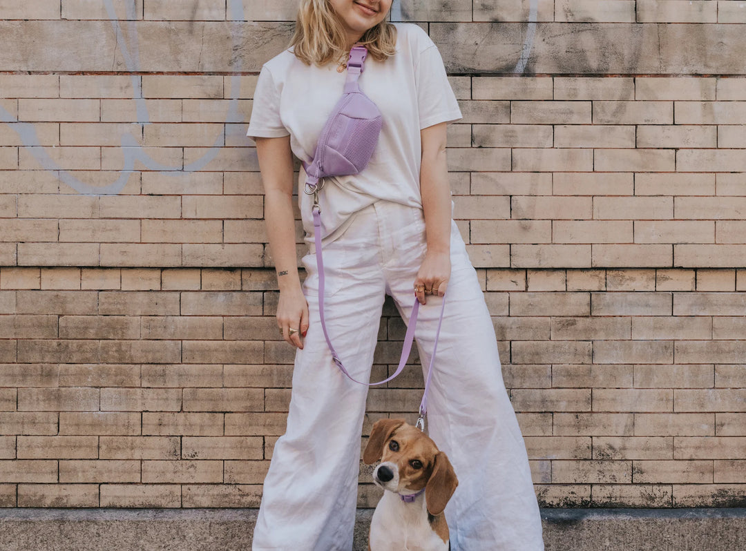 Sling Bag + Dog Leash Set
