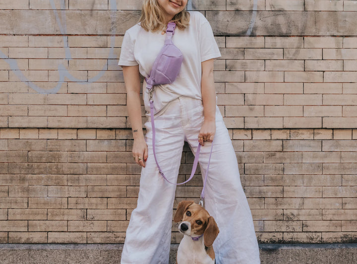 Sling Bag + Dog Leash Set