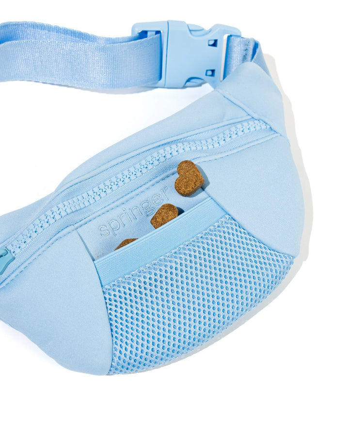 Sling Bag + Dog Leash Set