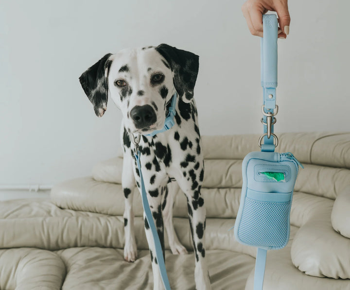 Walk Bag + Dog Leash Set