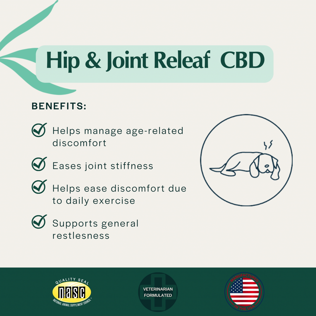 Hip & Joint Releaf CBD Edibites – Peanut Butter Banana Flavor