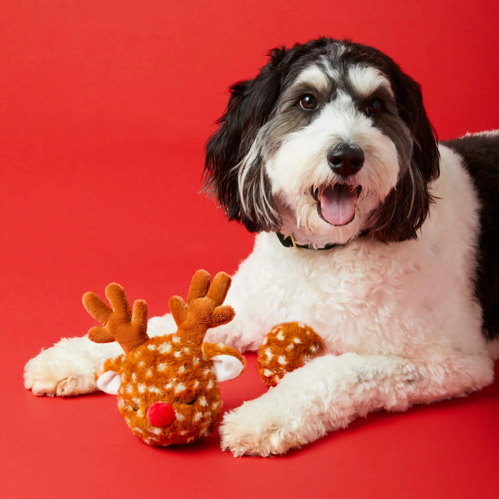Reindeer Interactive Snuffle Dog Toy