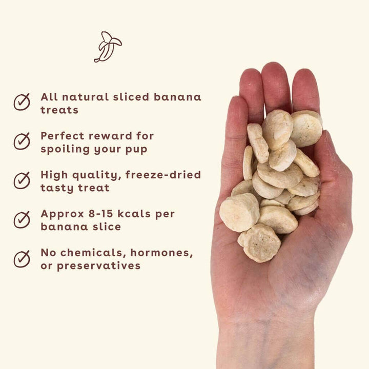 Freeze Dried Training Treats
