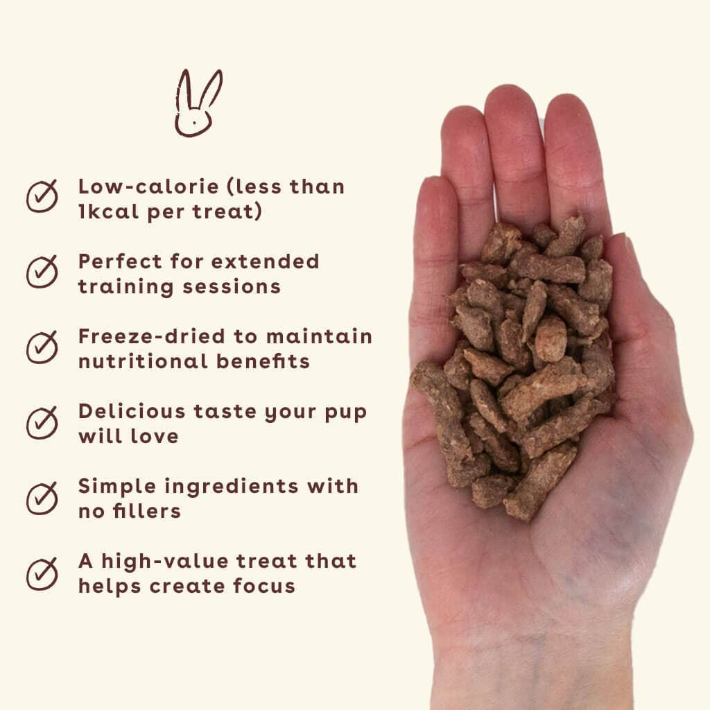 Freeze Dried Training Treats