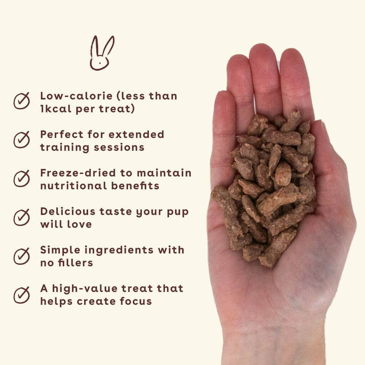 Freeze Dried Training Treats
