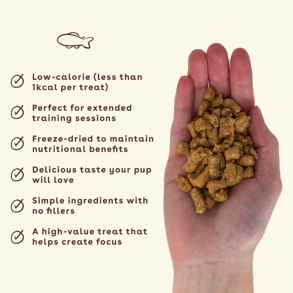 Freeze Dried Training Treats