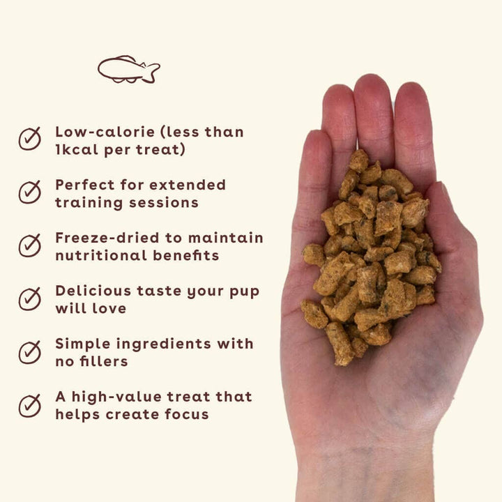 Freeze Dried Training Treats