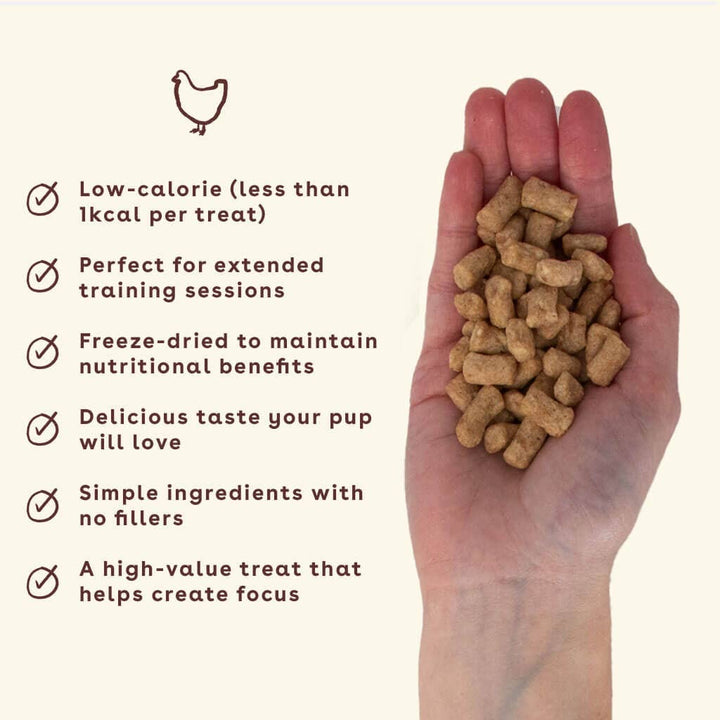Freeze Dried Training Treats