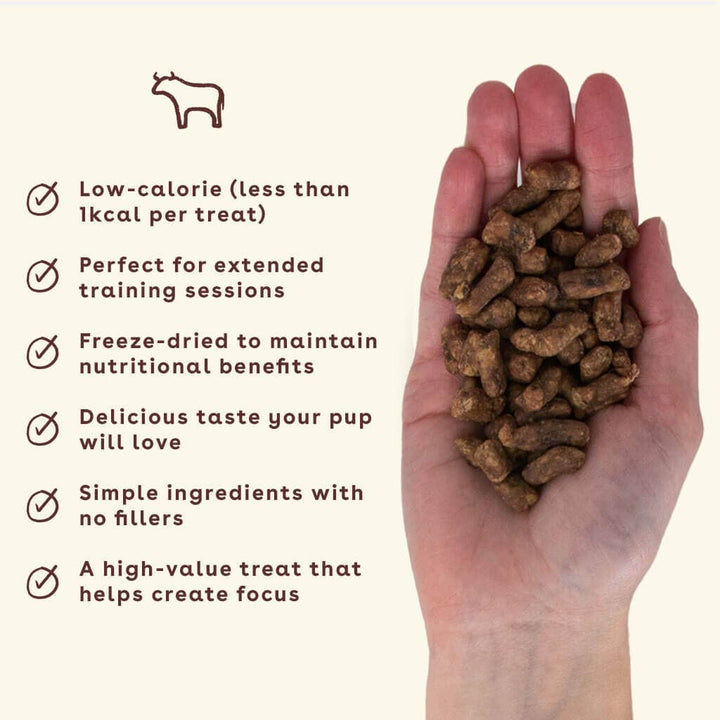 Freeze Dried Training Treats