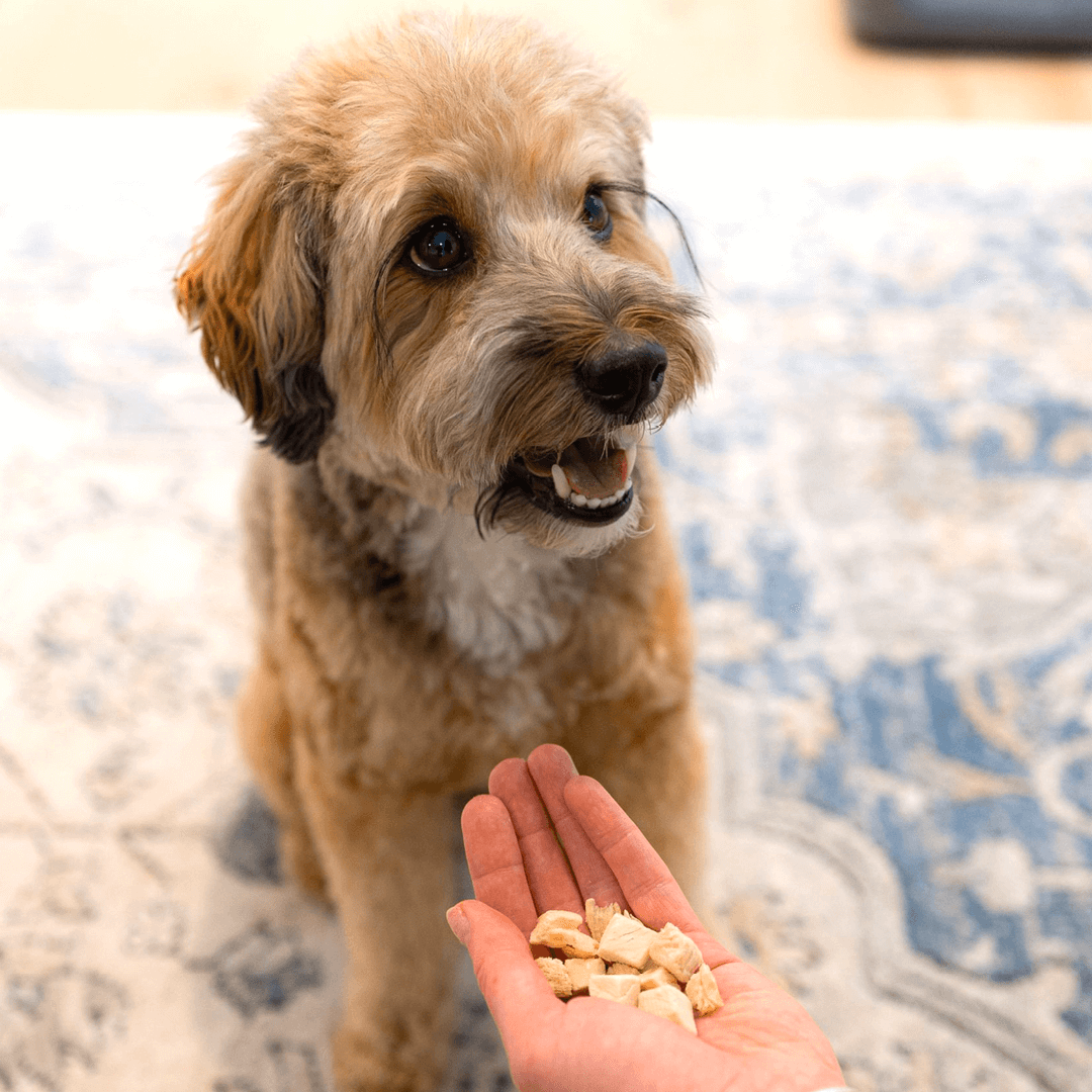 Freeze Dried Training Treats