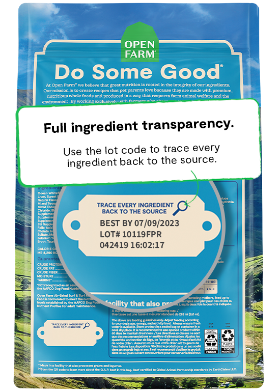 Air-Dried Food for Dogs