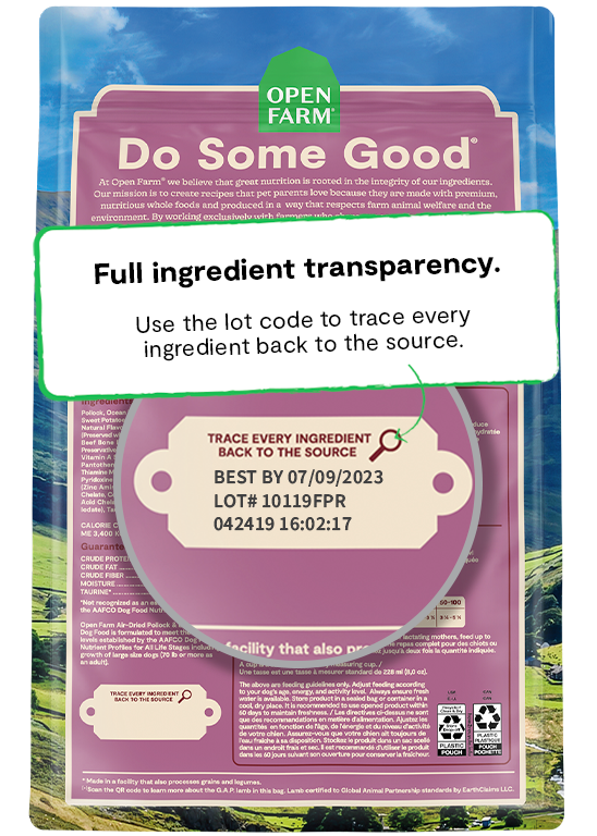 Air-Dried Food for Dogs