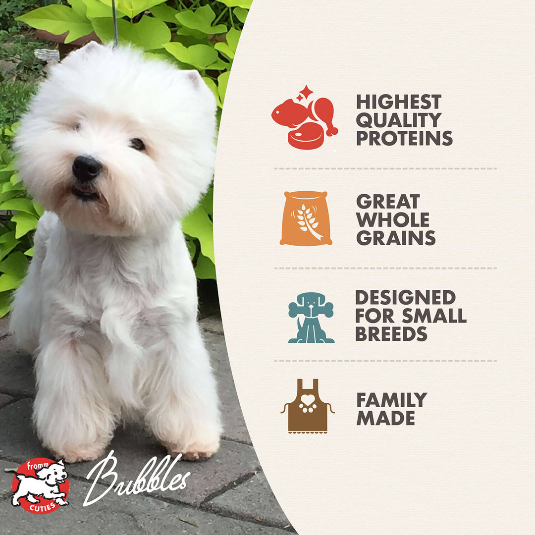 Small Breed Adult Gold