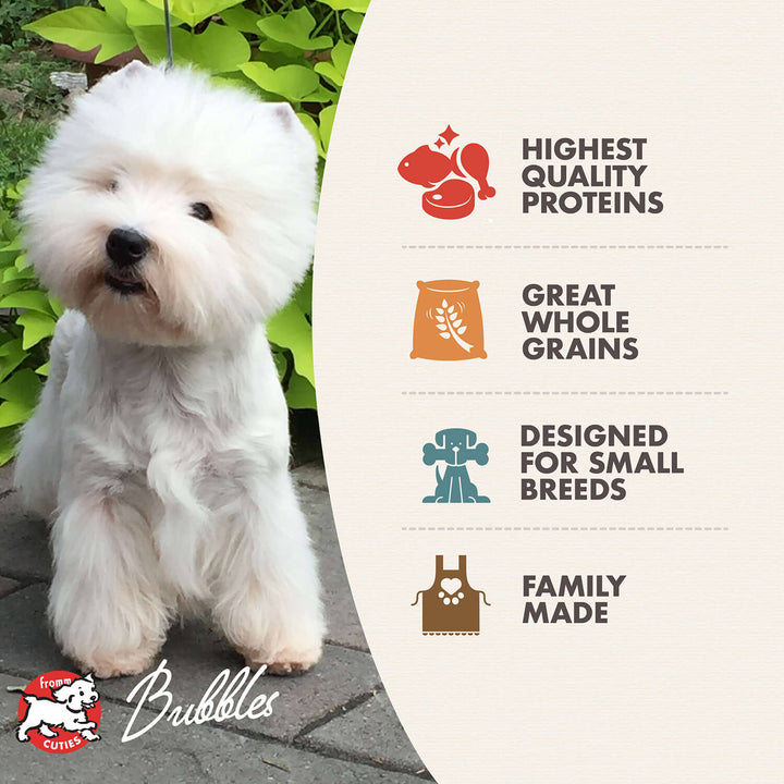Small Breed Adult Gold