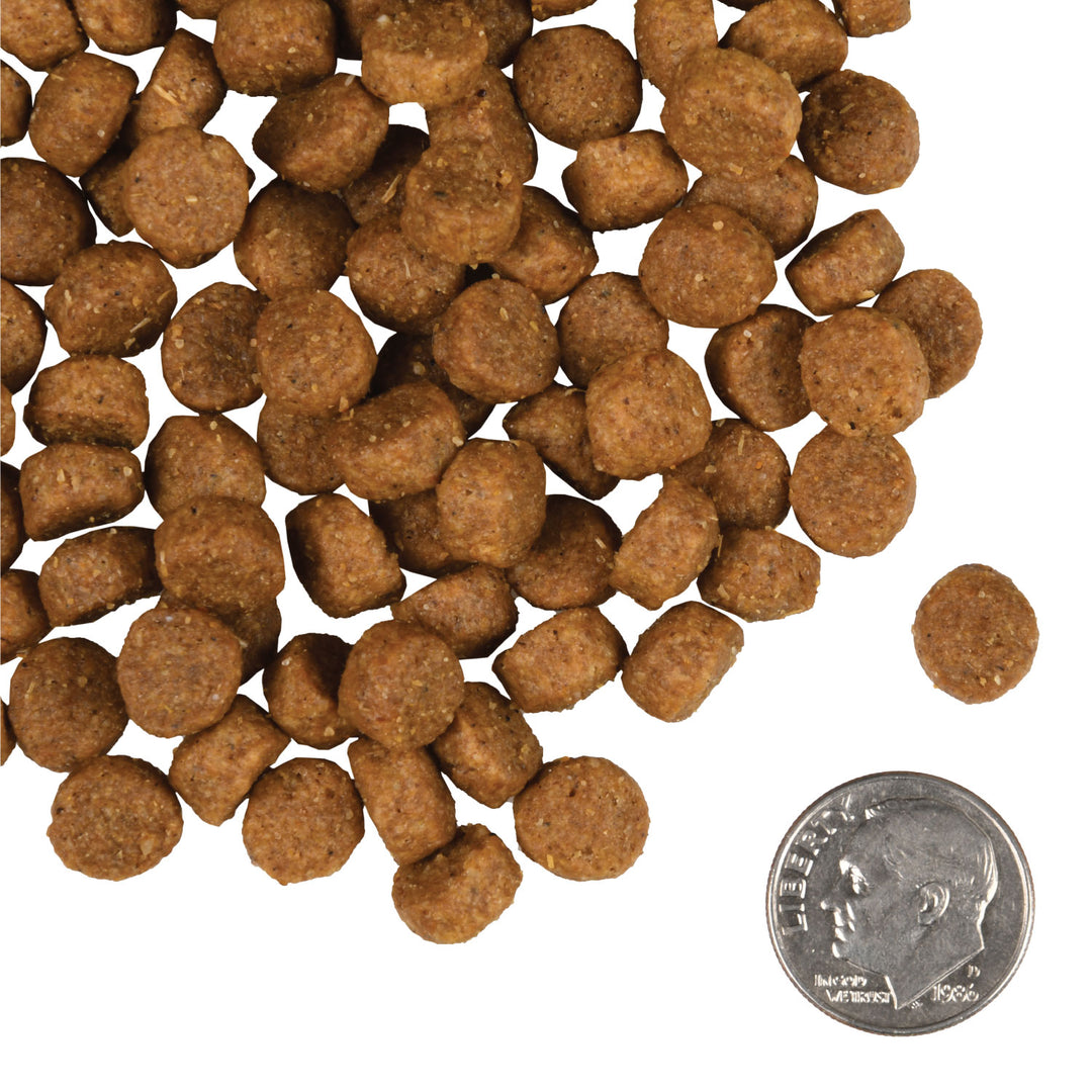 Small Breed Adult Gold