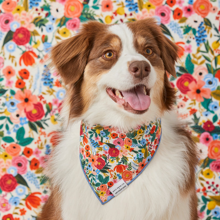 Rifle Paper Co. x The Foggy Dog Garden Party Bandana