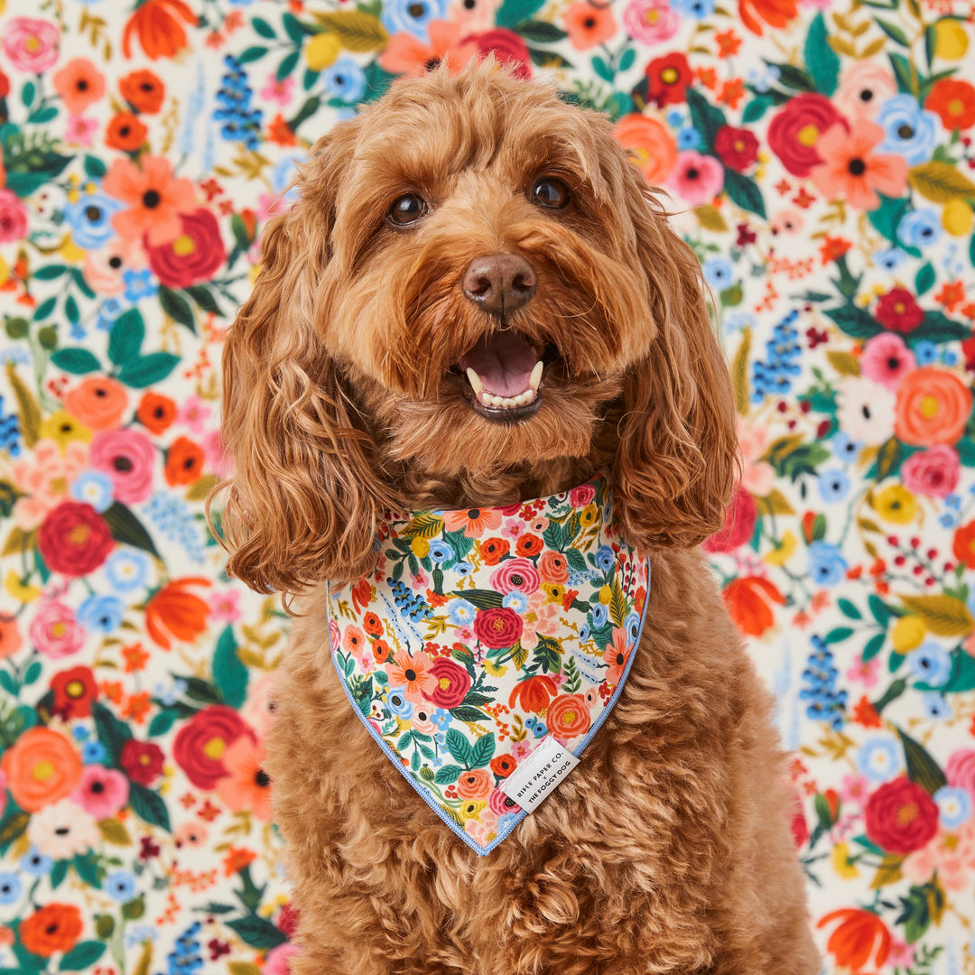Rifle Paper Co. x The Foggy Dog Garden Party Bandana