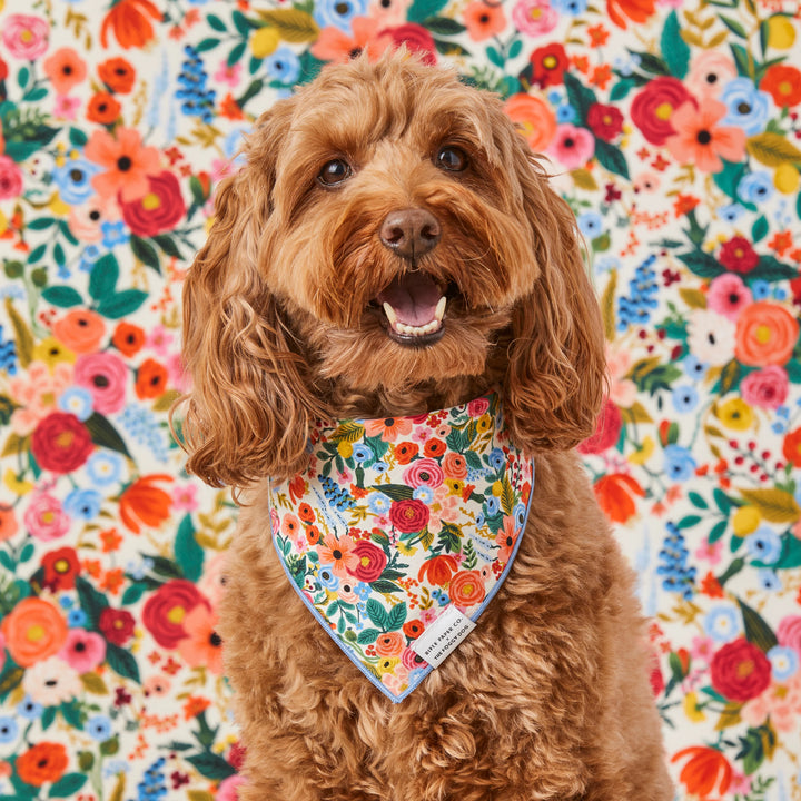 Rifle Paper Co. x The Foggy Dog Garden Party Bandana