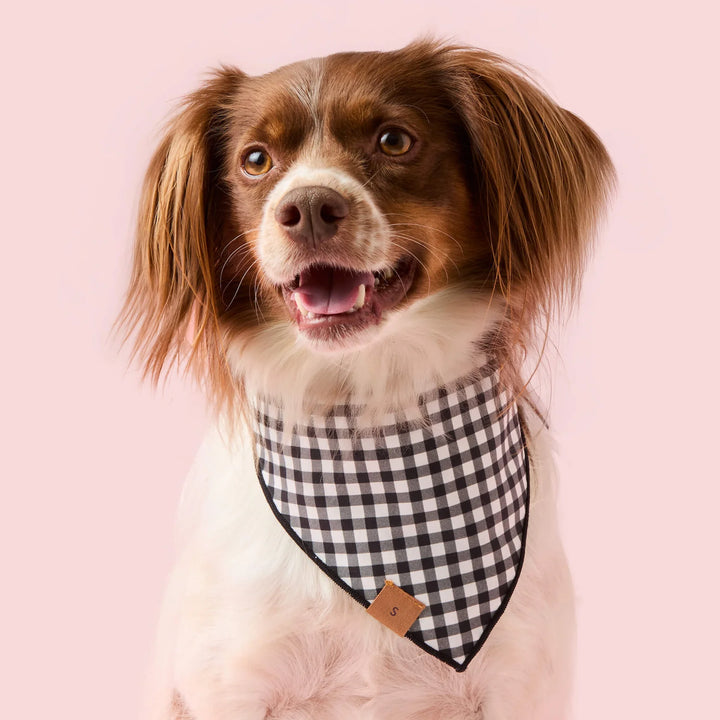 Spooky Season Glow-in-the-Dark Reversible Bandana