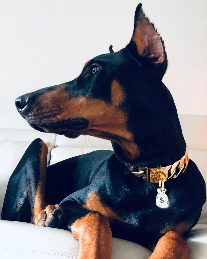 Trill Paws Custom ID Tag