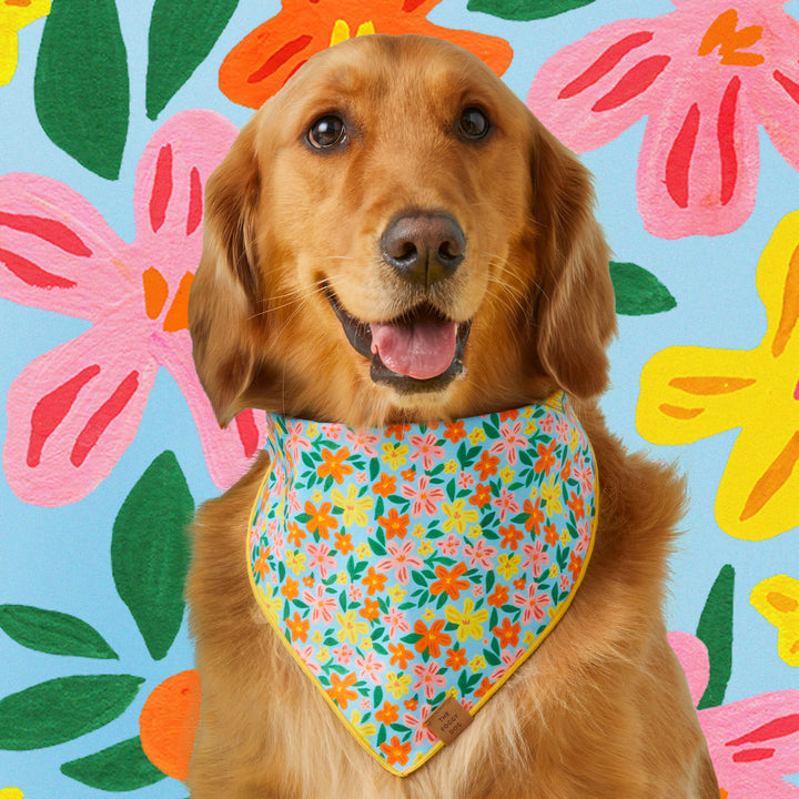 Island Time Bandana