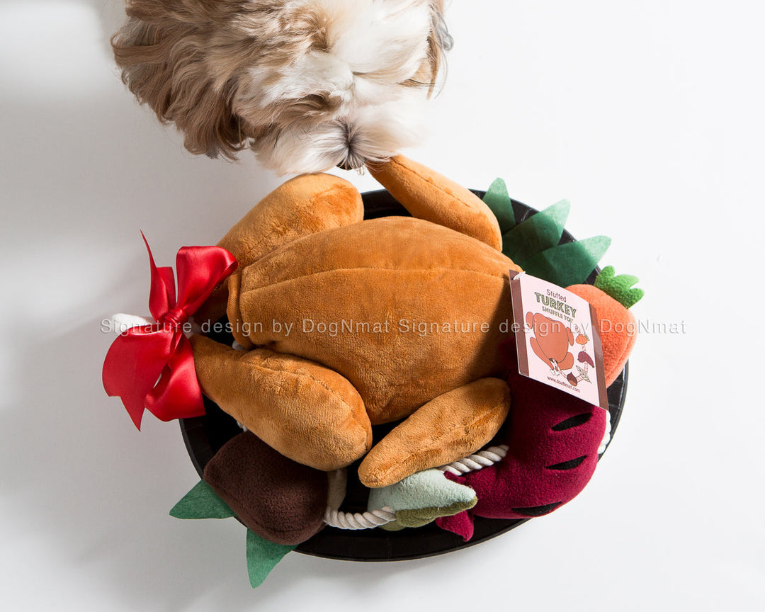 Holiday Turkey Snuffle Toy