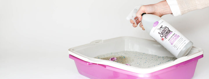 Professional Strength Litter Box Deodorizer