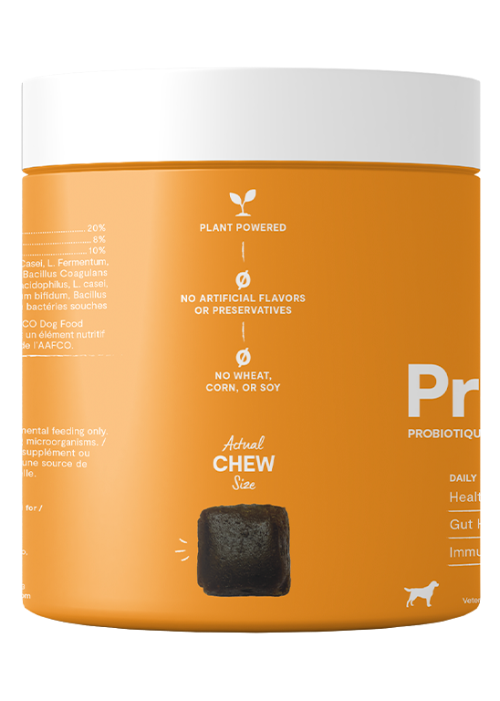Probiotic Supplement Chews for Dogs (90 ct)