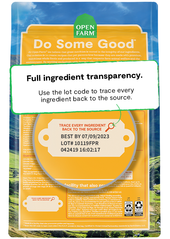 Air-Dried Food for Dogs