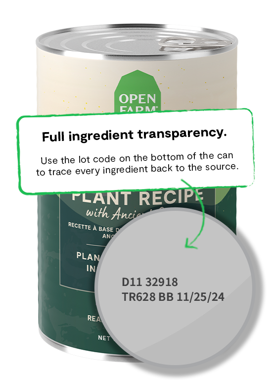 Kind Earth Plant Pâté with Ancient Grains for Dogs