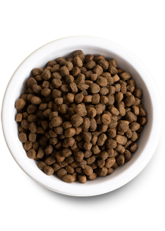 Grain-Free Chicken & Salmon Recipe for Puppies